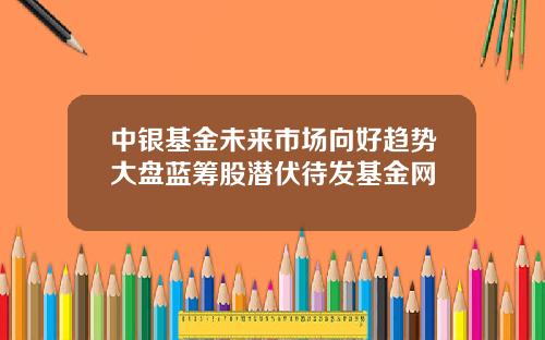 中银基金未来市场向好趋势大盘蓝筹股潜伏待发基金网
