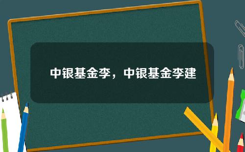 中银基金李，中银基金李建