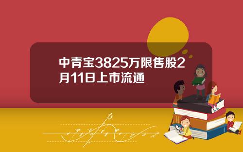 中青宝3825万限售股2月11日上市流通