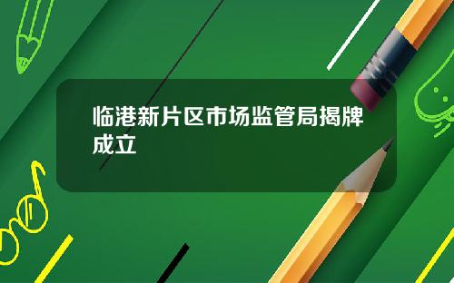 临港新片区市场监管局揭牌成立