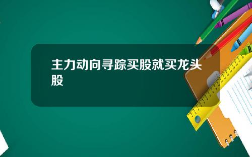 主力动向寻踪买股就买龙头股