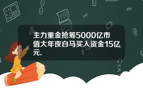 主力重金抢筹5000亿市值大年夜白马买入资金15亿元.