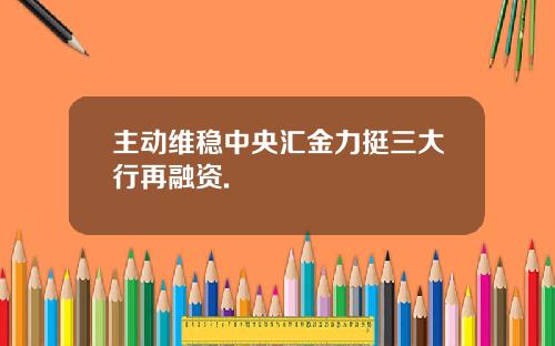 主动维稳中央汇金力挺三大行再融资.