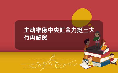 主动维稳中央汇金力挺三大行再融资