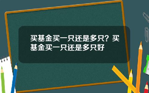 买基金买一只还是多只？买基金买一只还是多只好