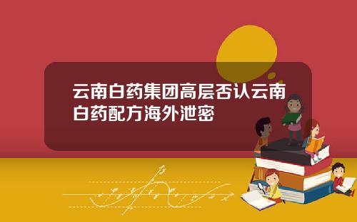 云南白药集团高层否认云南白药配方海外泄密