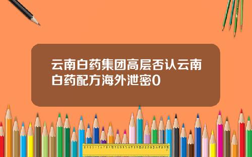 云南白药集团高层否认云南白药配方海外泄密0