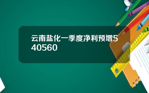 云南盐化一季度净利预增540560