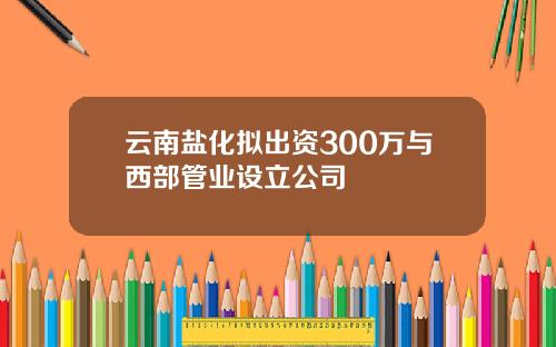 云南盐化拟出资300万与西部管业设立公司