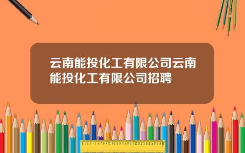 云南能投化工有限公司云南能投化工有限公司招聘
