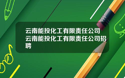 云南能投化工有限责任公司云南能投化工有限责任公司招聘