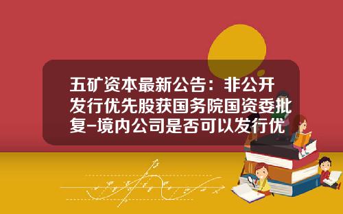 五矿资本最新公告：非公开发行优先股获国务院国资委批复-境内公司是否可以发行优先股
