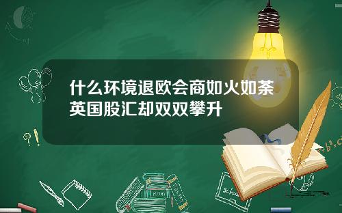 什么环境退欧会商如火如荼英国股汇却双双攀升