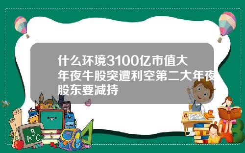 什么环境3100亿市值大年夜牛股突遭利空第二大年夜股东要减持