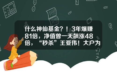 什么神仙基金？！3年爆赚81倍，净值曾一天飙涨48倍，“秒杀”王亚伟！大户为何都爱这类基金？#热点复盘#-王亚伟基金