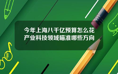 今年上海八千亿预算怎么花产业科技领域瞄准哪些方向