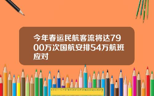 今年春运民航客流将达7900万次国航安排54万航班应对