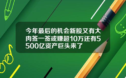 今年最后的机会新股又有大肉签一签或赚超10万还有5500亿资产巨头来了
