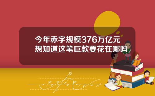 今年赤字规模376万亿元想知道这笔巨款要花在哪吗