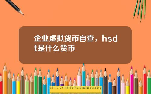 企业虚拟货币自查，hsdt是什么货币