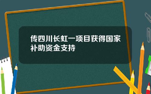 传四川长虹一项目获得国家补助资金支持