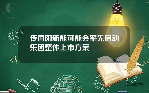 传国阳新能可能会率先启动集团整体上市方案