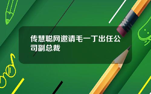 传慧聪网邀请毛一丁出任公司副总裁