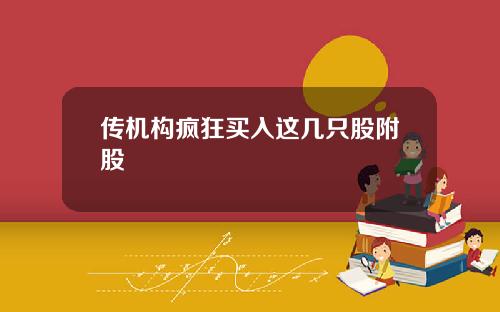 传机构疯狂买入这几只股附股