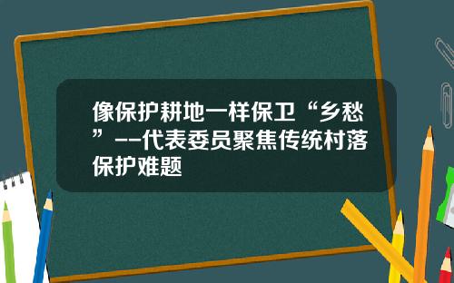像保护耕地一样保卫“乡愁”--代表委员聚焦传统村落保护难题