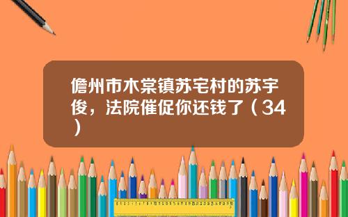 儋州市木棠镇苏宅村的苏宇俊，法院催促你还钱了（34）