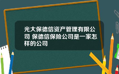 光大保德信资产管理有限公司 保德信保险公司是一家怎样的公司