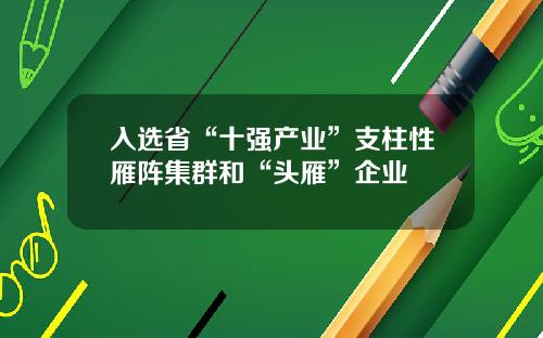 入选省“十强产业”支柱性雁阵集群和“头雁”企业