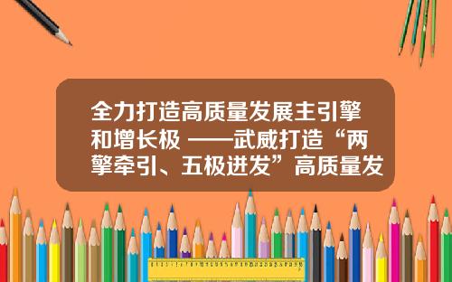 全力打造高质量发展主引擎和增长极 ——武威打造“两擎牵引、五极迸发”高质量发展格局系列报道之三