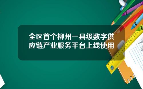 全区首个柳州一县级数字供应链产业服务平台上线使用