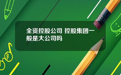全资控股公司 控股集团一般是大公司吗