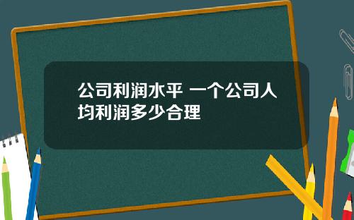 公司利润水平 一个公司人均利润多少合理
