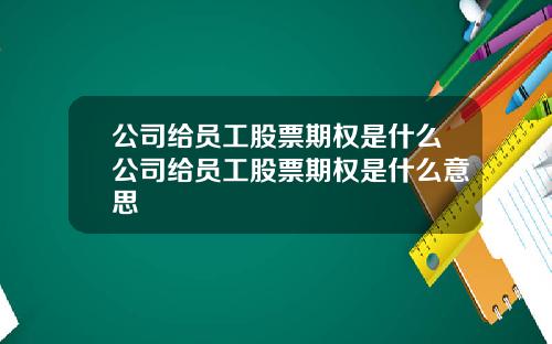 公司给员工股票期权是什么公司给员工股票期权是什么意思