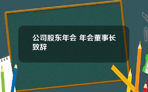 公司股东年会 年会董事长致辞