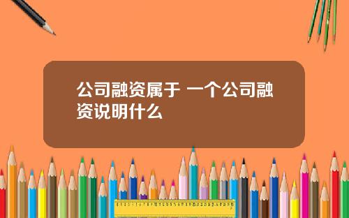 公司融资属于 一个公司融资说明什么