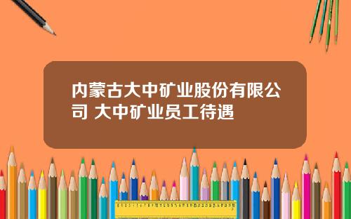 内蒙古大中矿业股份有限公司 大中矿业员工待遇