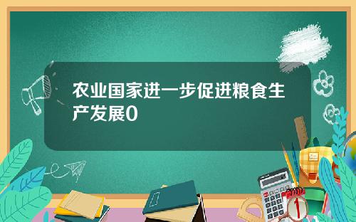 农业国家进一步促进粮食生产发展0