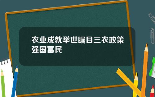 农业成就举世瞩目三农政策强国富民