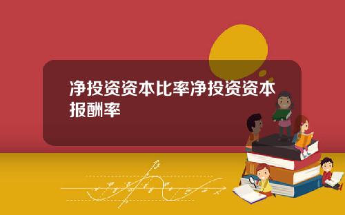 净投资资本比率净投资资本报酬率