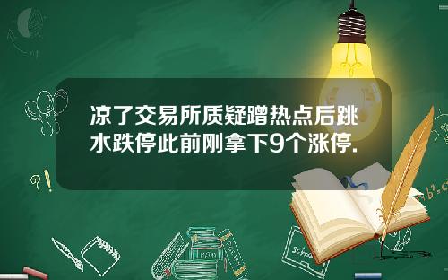 凉了交易所质疑蹭热点后跳水跌停此前刚拿下9个涨停.