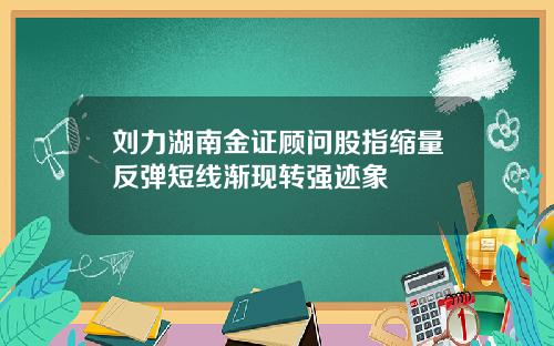 刘力湖南金证顾问股指缩量反弹短线渐现转强迹象