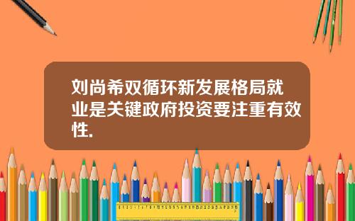 刘尚希双循环新发展格局就业是关键政府投资要注重有效性.