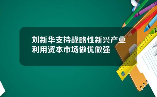 刘新华支持战略性新兴产业利用资本市场做优做强