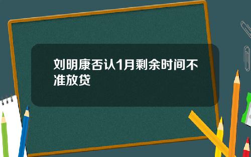 刘明康否认1月剩余时间不准放贷