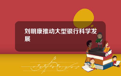 刘明康推动大型银行科学发展