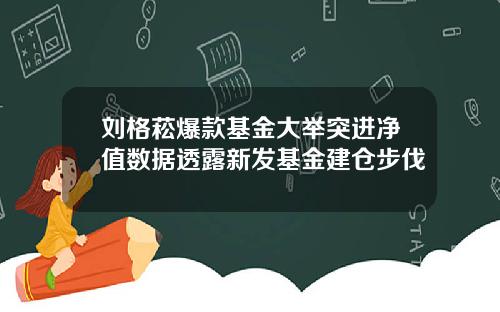 刘格菘爆款基金大举突进净值数据透露新发基金建仓步伐